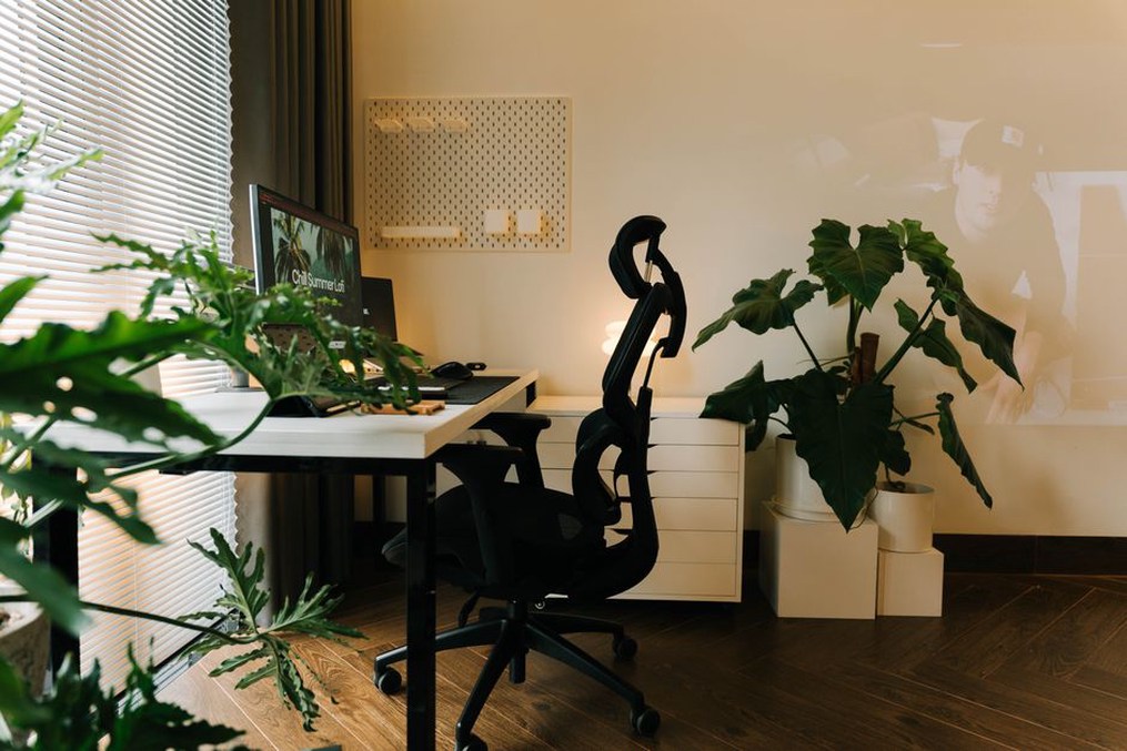plantes d'intérieur dans un bureau moderne