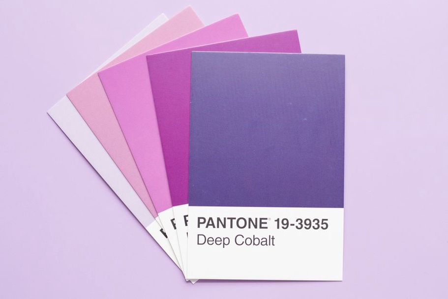 Échantillons de couleurs et supports préparés pour un événement