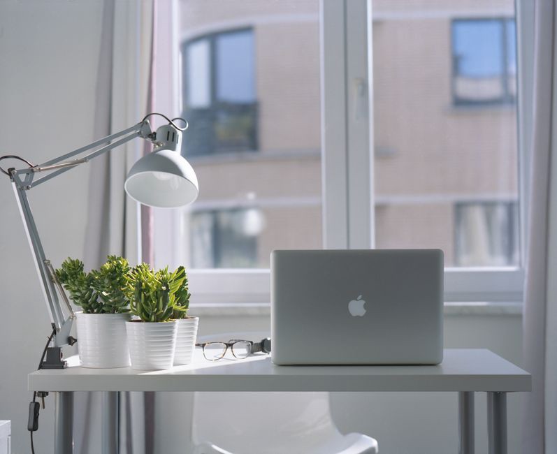 Bureau lumineux mêlant mobilier réemployé et végétaux
